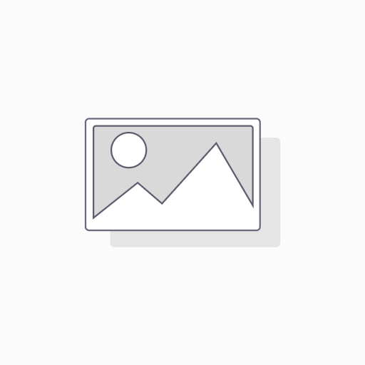 Solution Design & Customization